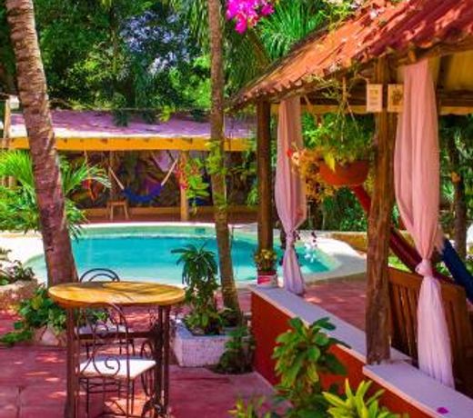 Casa De Los Pajaros - B&B