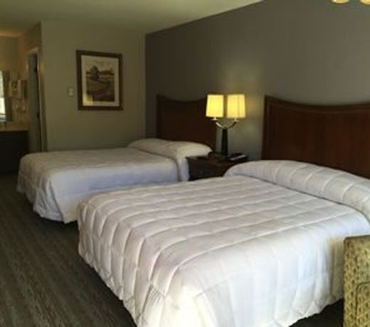 The University Inn