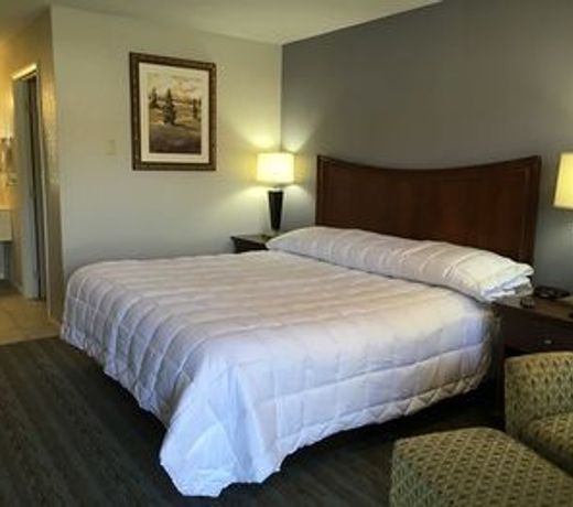 The University Inn
