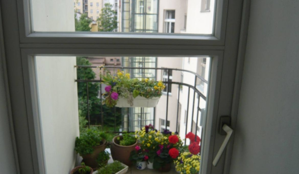 Flora Apartment Sudomerska