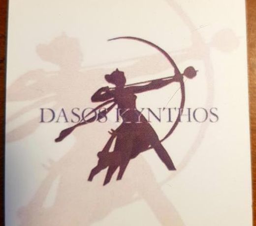 Guest House Dasos Kynthos