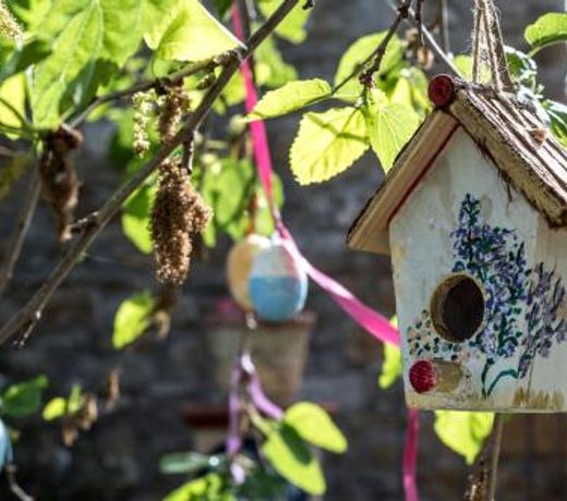 Country House Araba Phoenix