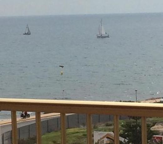 Apartamento Cala Del Palangre