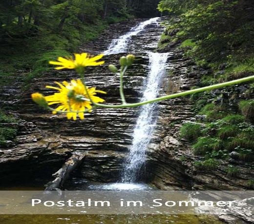 GASTHOF ALPENROSE