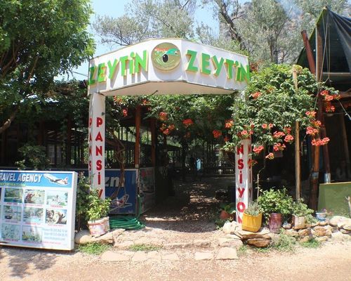 Olympos Zeytin - Олимпос - фото 10