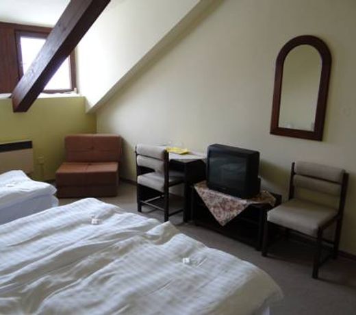 Hotel Zlaty KÅÃ­l