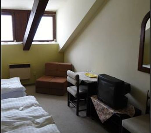 Hotel Zlaty KÅÃ­l