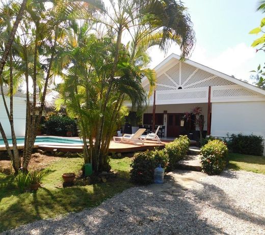 Oasis Tropical