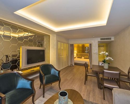 Suiteness Taksim Hotel - Стамбул - фото 6