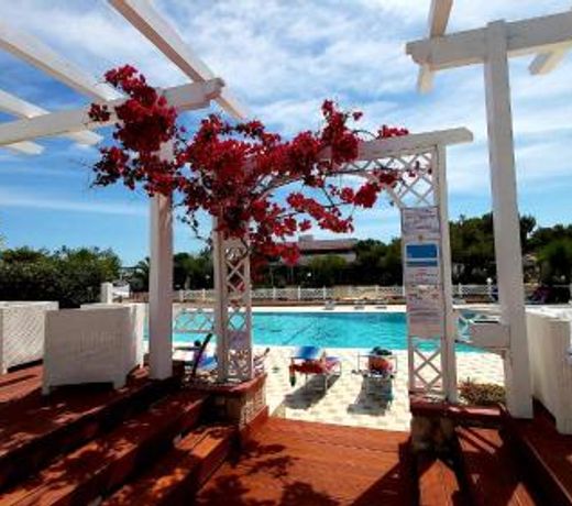 Villaggio Camping Oasi