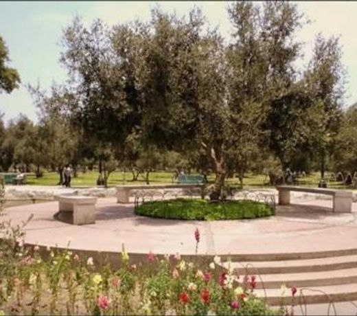 B&B El Olivar