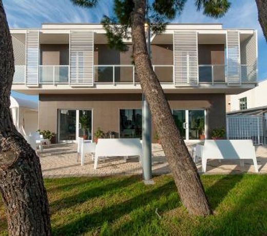 B&B Maxxi