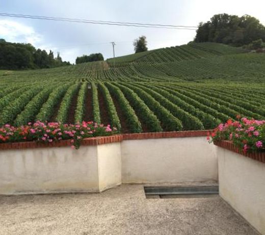 La Loge Du Vigneron
