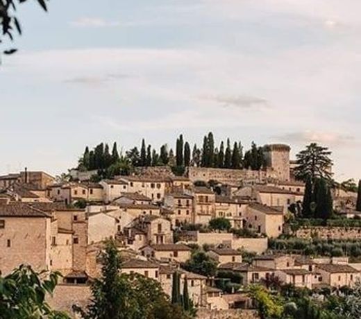 B&B Fior Fiore