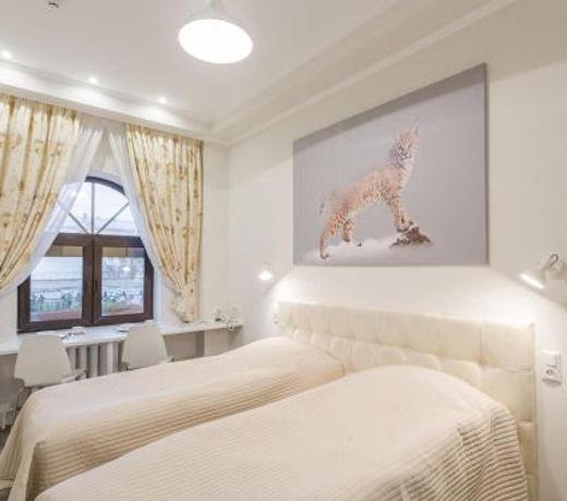 Ars Hotel Sibiria