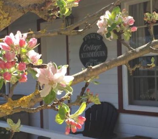 Coonawarra's Pyrus Cottage