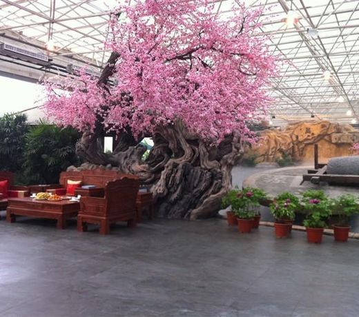 PEACH BLOSSOM MANOR