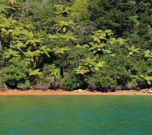 Marlborough Sounds Accommodation 92