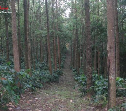 The Inchara Hill View HomeStay