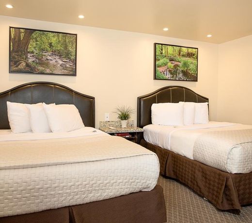 Primrose Inn & Suites