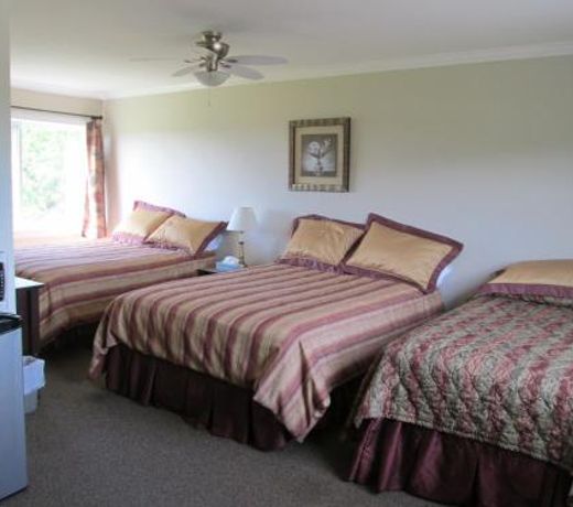 Scenic Motel Moncton