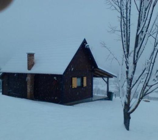 Apartment Iko