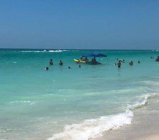 The Anna Maria Island Beach Palms 7A