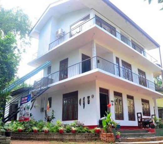 Little Swan Guest house