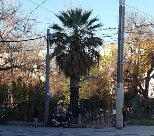 HÃ´tel Saint Roch Montpellier Centre