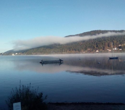La Maison De L'union