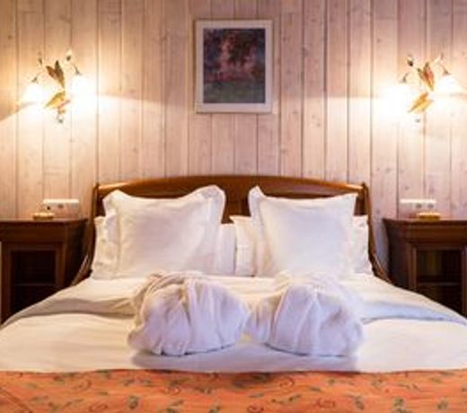 Hotel Llop Gris