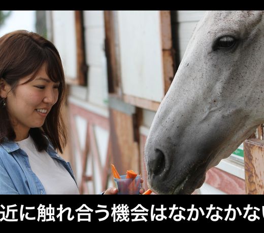 Hotel Sato