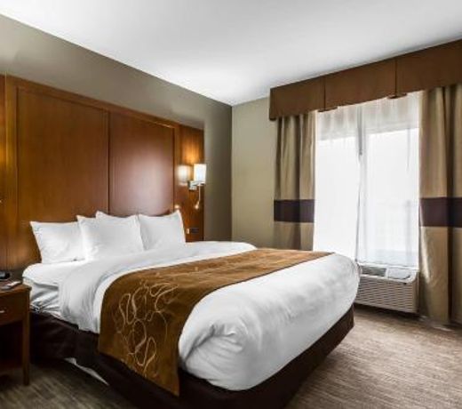 Comfort Suites - University