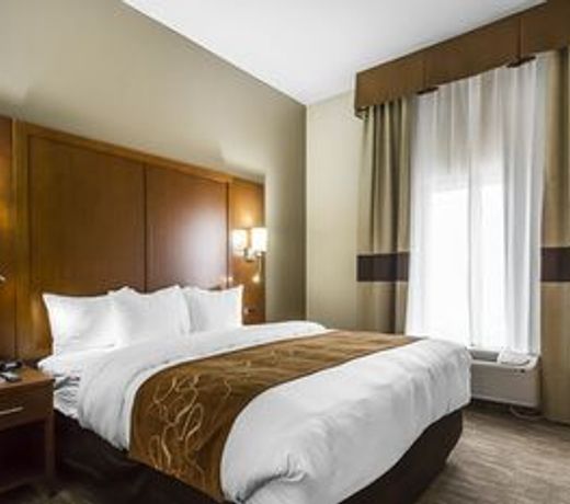 Comfort Suites - University
