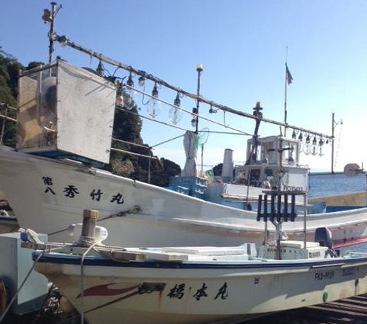 Echizentamagawa Onsen Hidetake
