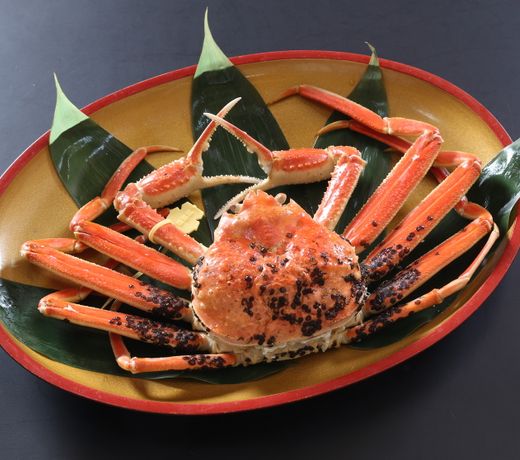 Echizenkaigan Tamagawa no Yado Iwamotoya