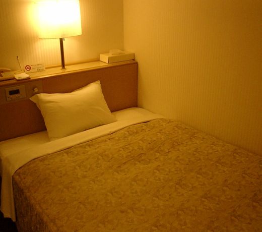 Ota Daiichi Hotel