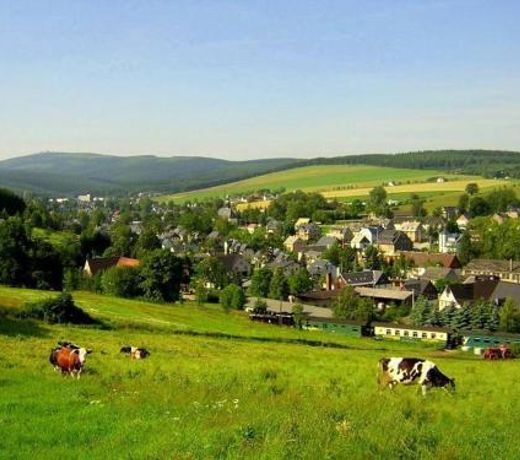 Kleine-Fewo-Ebert-Green