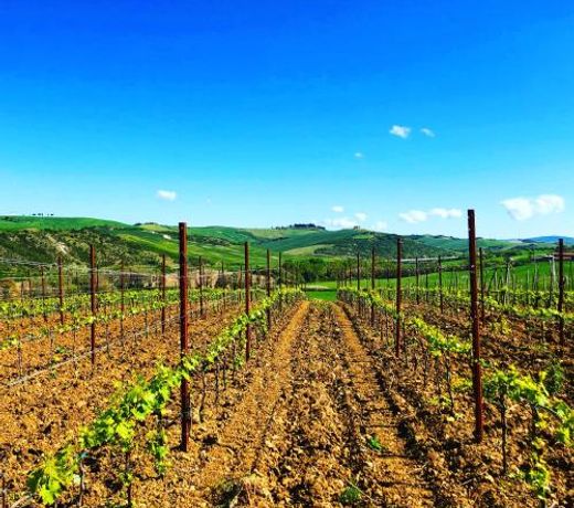 Agriturismo Oria Bianca