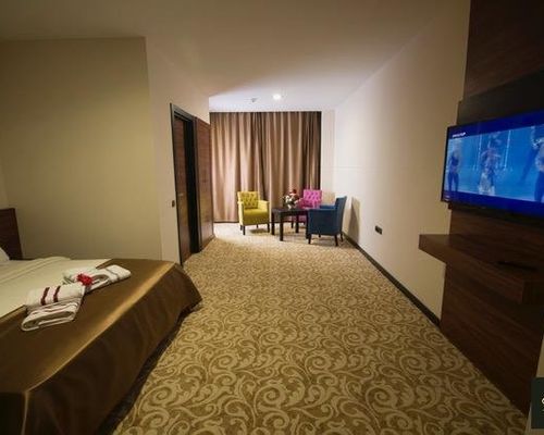 Eskisehir Butik Hotel - Эскишехир - фото 12