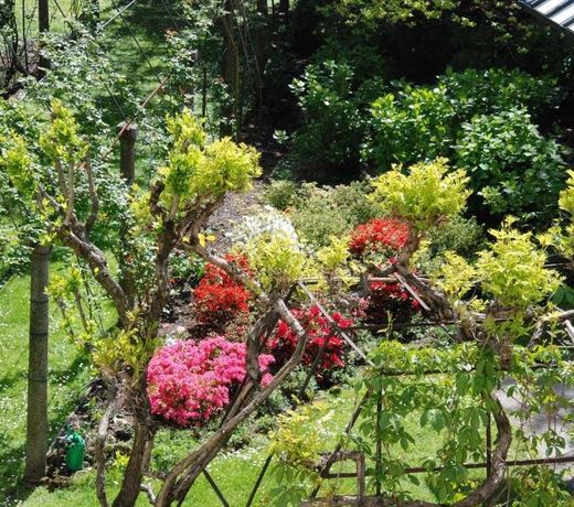 La Canarina Bed & Breakfast