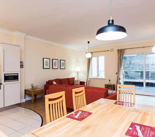 Large  2BD  with sunny  terrace near Temple Bar