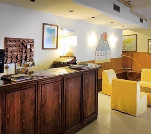 HOTEL PUELCHES
