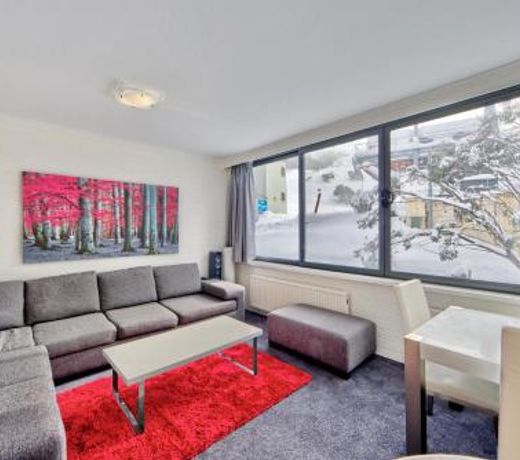 Snow Ski Apartments 08