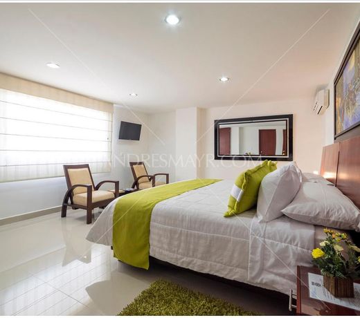Hotel Andino