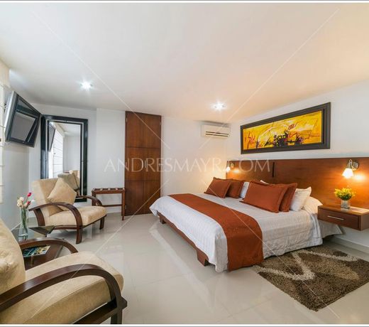 Hotel Andino