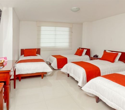 Hotel Andino