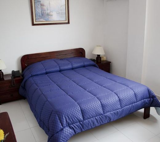 Ayenda Hotel Virrey 76