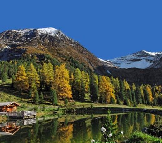 Haus Alpenfriede