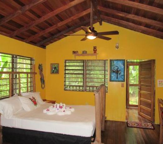 Macaw Bank Jungle Lodge